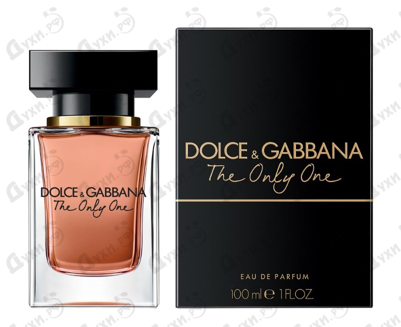 dolce and gabbana the only one man